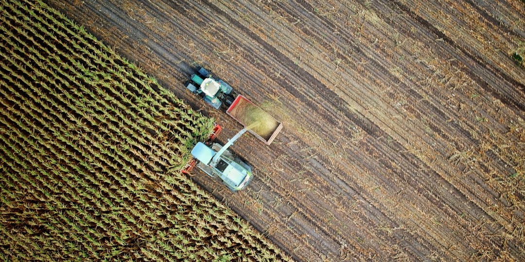 <i class='fa fa-lock' aria-hidden='true'></i> Agriculture: le sort de la cellule Demeter de la Gendarmerie renvoyé au Conseil d’Etat