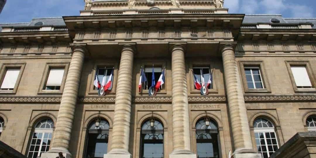 Deux jumeaux djihadistes franco-turcs déchus de leur nationalité française