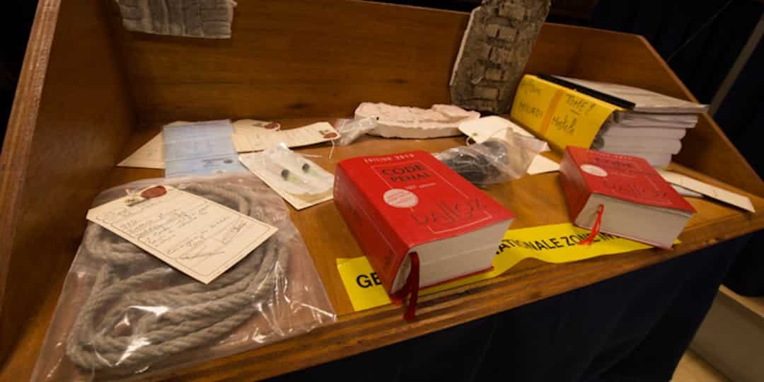 Illustration (M.GUYOT/ESSOR)