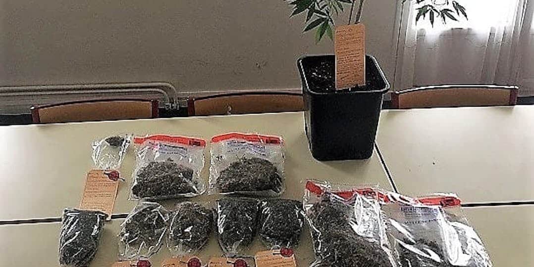 Un gendarme de la Côte d’Azur accusé d’avoir volé du cannabis dans des scellés