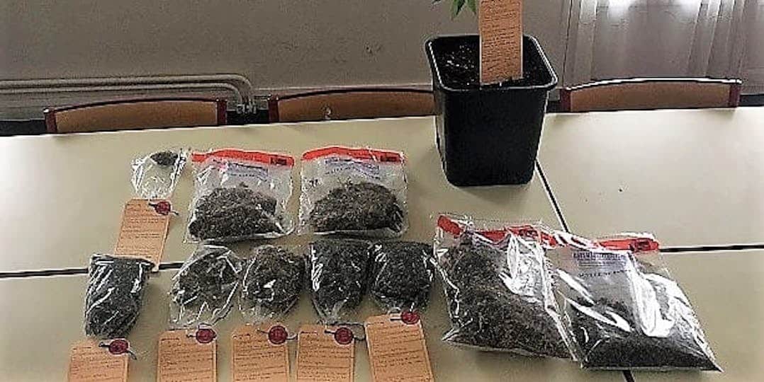 <i class='fa fa-lock' aria-hidden='true'></i> Dans les Alpes-Maritimes, un gendarme adjoint condamné après avoir volé du cannabis dans un scellé