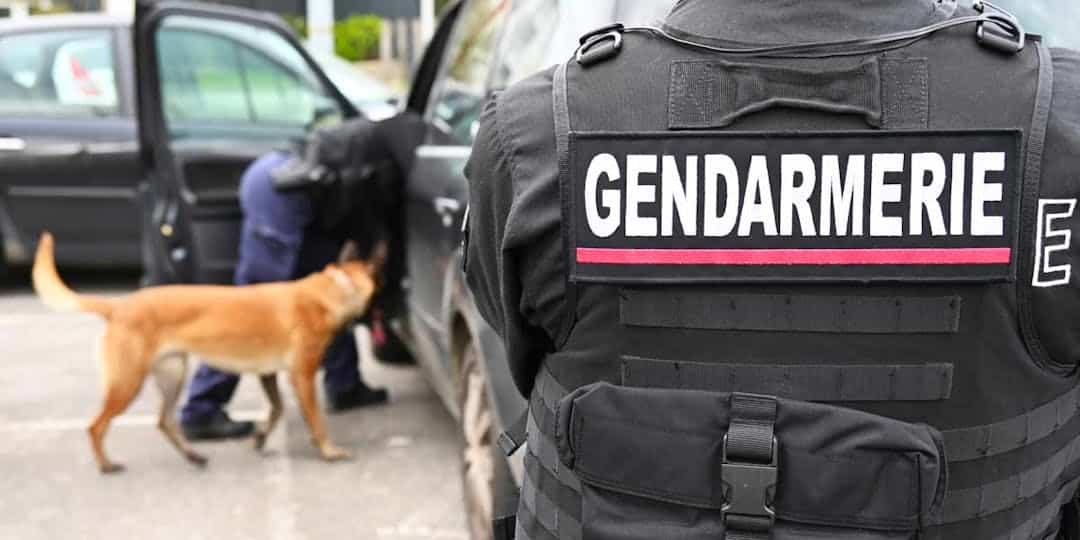 Intervention délicate des gendarmes dans une cité du Vaucluse