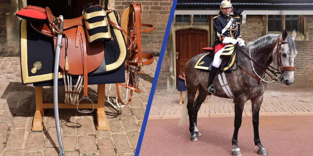 <i class='fa fa-lock' aria-hidden='true'></i> Un cheval de la Garde républicaine offert par la France à la reine Elizabeth II pour son jubilé