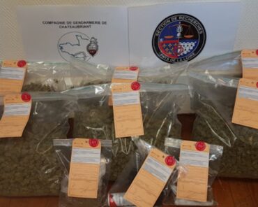 Saisie de drogue par la gendarmerie (Photo d'illustration - Photo Gendarmerie)