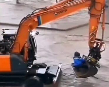 Le sauvetage réalisé par le gendarme est héroïque et insolite (capture d'écran X)