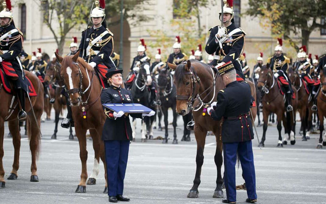 Quatre chevaux de la Garde républicaine décorés suite aux JO de Paris-2024