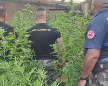 Des policiers municipaux étaient aussi mobilisés aux côtés des gendarmes départementaux, mobiles et spécialisés engagés sur cette opération dans les différents archipels de la Polynésie. (Photo: ComGendPF)