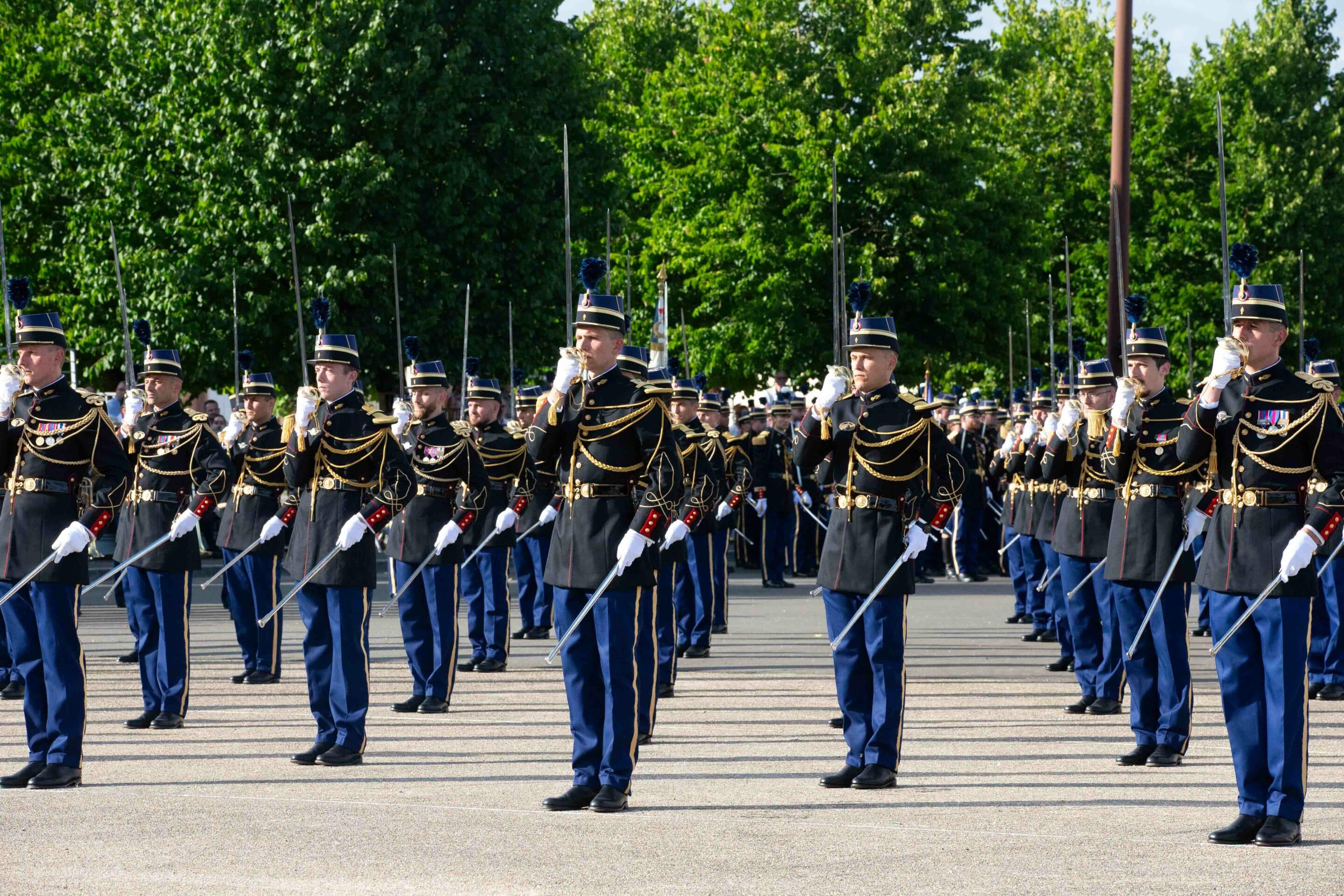 Organisation de la scolarité des élèves de l’AMGN