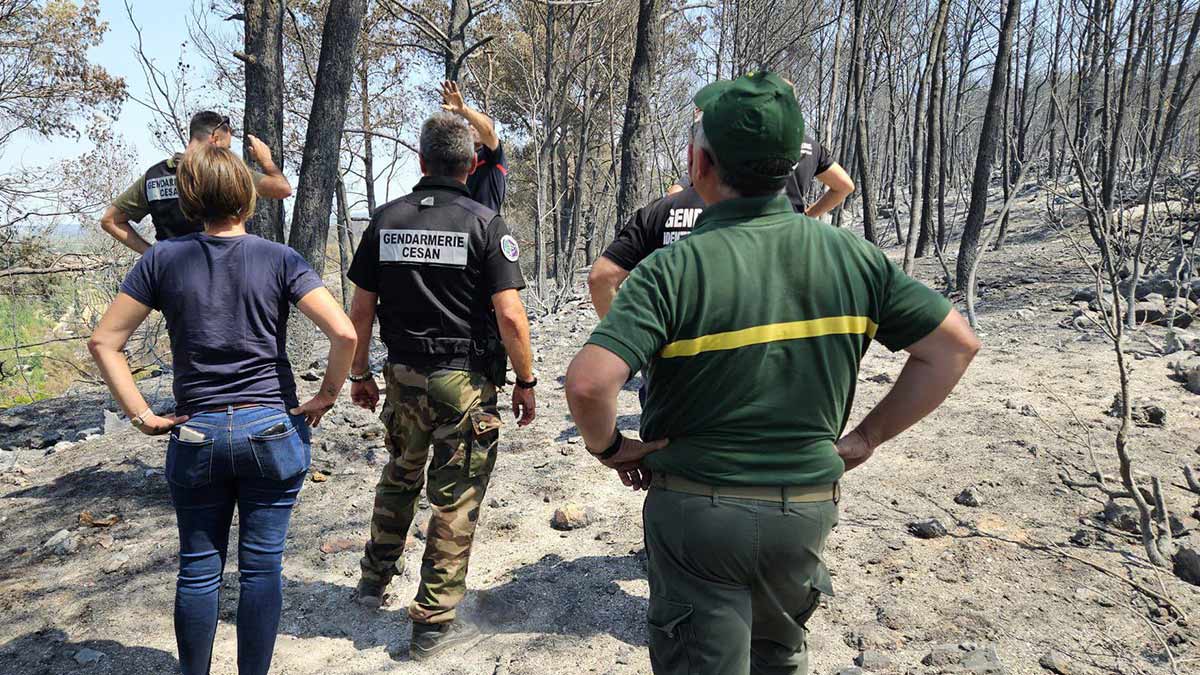 Le travail de fourmi des enquêteurs pour élucider les incendies Le travail de fourmi des enquêteurs pour élucider les incendies