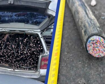 Les malfaiteurs volaient des morceaux de câbles télécoms afin de récupérer le cuivre se trouvant à l'intérieur et le revendre. (Photos: Gendarmerie, assemblage: L'Essor)