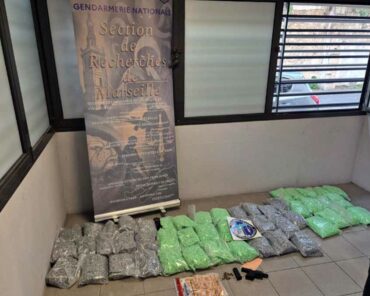 Les perquisitions menées par les gendarmes ont notamment permis la saisie de 88 kg d'Ecstasy et d'une arme de point. (Photo: Gendarmerie / Parquet de Marseille)