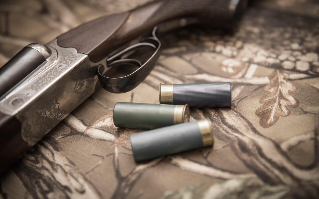 Détention illégale d’armes : un gendarme et un ex-policier condamnés en Gironde