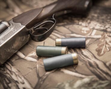 Les armes saisies étaient interdites à la détention (photo d'illustration Pixabay)