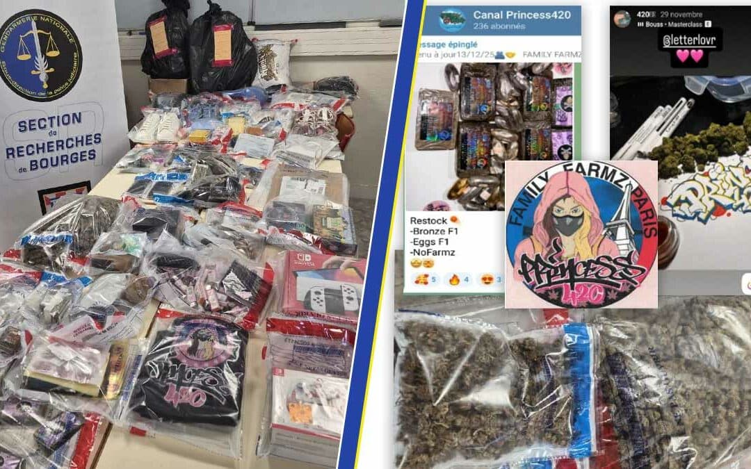 Une entreprise familiale de trafic de cannabis démantelée par les gendarmes