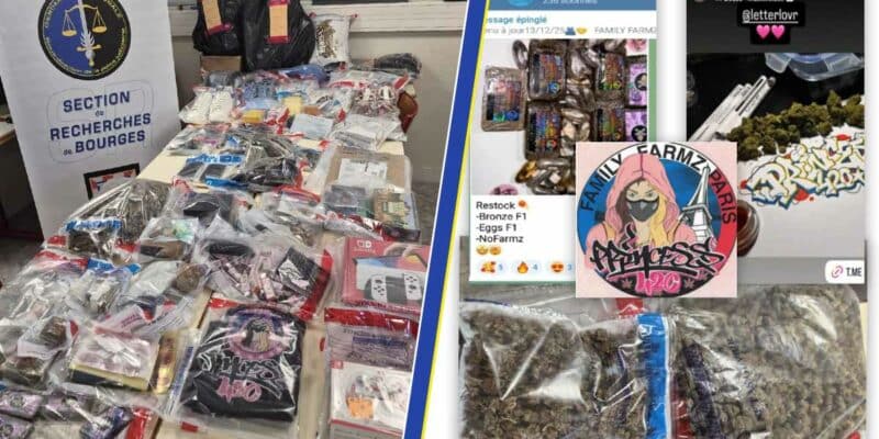 Les gendarmes de la section de recherches (SR) de Bourges ont mis un coup d'arrêt à un réseau familial de trafic de cannabis qui effectuait ses livraisons par l’envoi de colis. (Photos: Gendarmerie - assemblage: L'Essor)