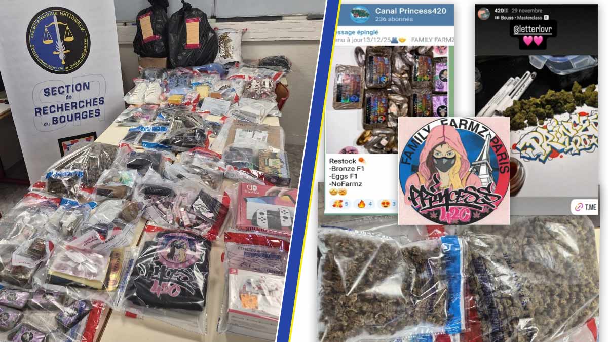 Une entreprise familiale de trafic de cannabis démantelée par les gendarmes