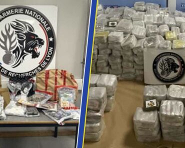 Une victoire de plus dans la lutte contre le narcotrafic, après le démantèlement d'un réseau de trafic de stupéfiants dans la Loire. (Photos: SR de Lyon / GGD42 - Assemblage: L'Essor)