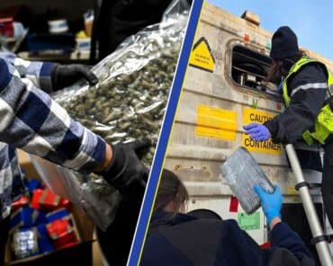 Sur quelque 210 tonnes de stupéfiants saisies en 2025, près de la moitié l'ont été par les Douanes. (Photos: Douane - assemblage: L'Essor)