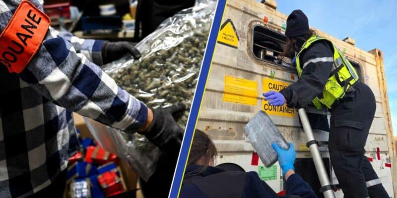 Sur quelque 210 tonnes de stupéfiants saisies en 2025, près de la moitié l'ont été par les Douanes. (Photos: Douane - assemblage: L'Essor)
