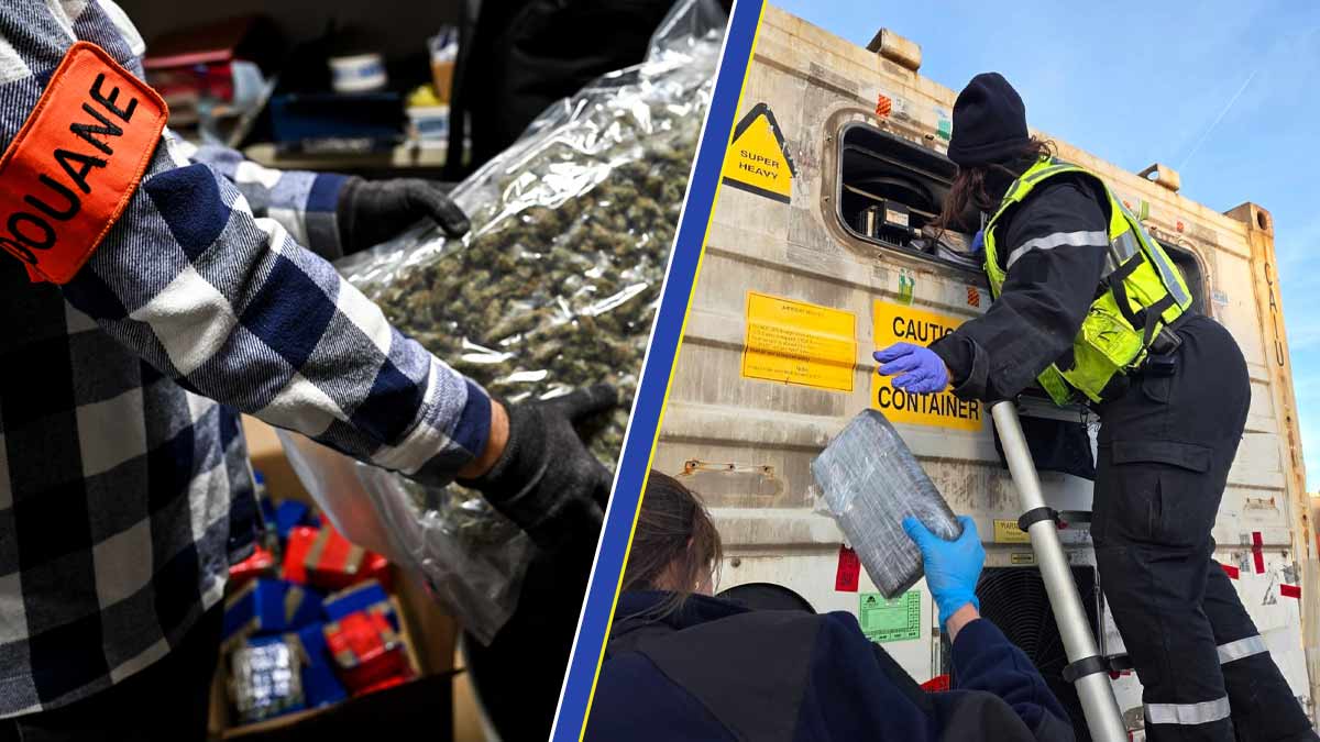 Nacrotrafic: les saisies de stupéfiants explosent en 2025 Nacrotrafic: les saisies de stupéfiants explosent en 2025