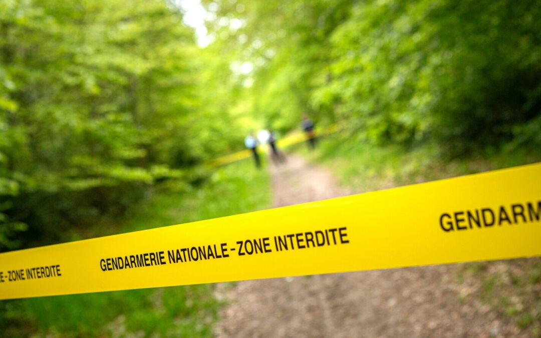 Recherches de disparus : pourquoi les gendarmes s&rsquo;opposent aux battues citoyennes
