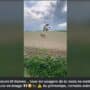 Les gendarmes de Saône-et-Loire ont diffusé la vidéo d'un cervidé au comportement erratique (Capture d'cran Facebook)