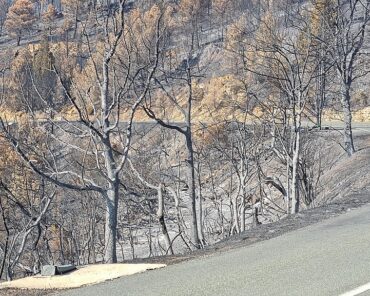 Incendie des Corbières en 2025 : Un agent de l&rsquo;ONF présenté devant des juges d&rsquo;intructions à Montpellier