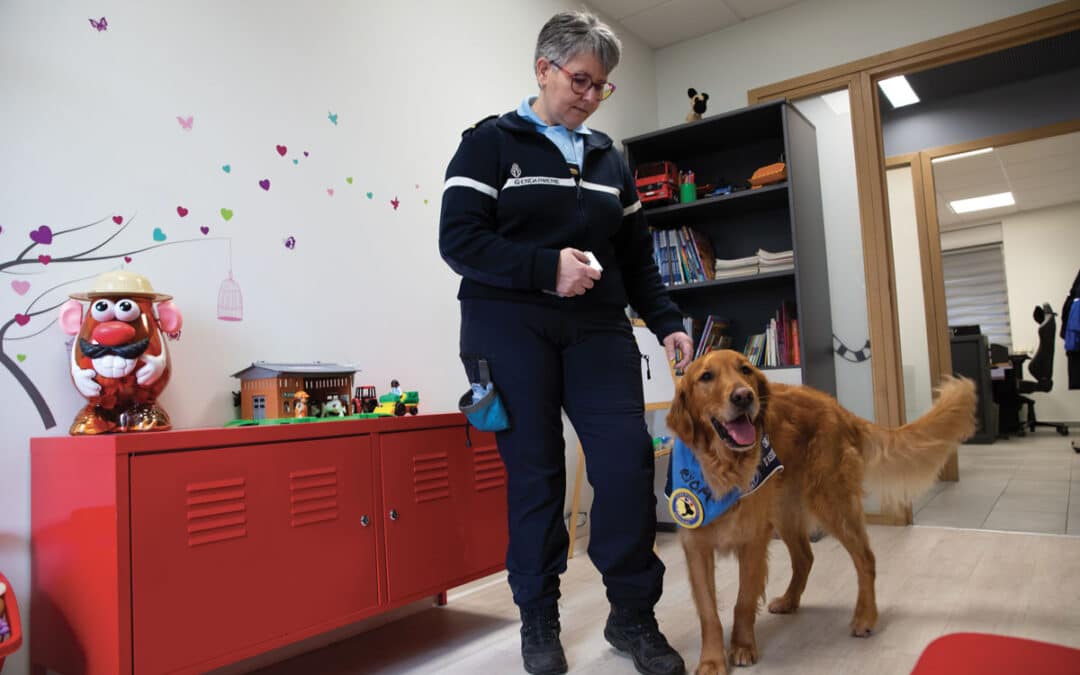 Chien d&rsquo;assistance judiciaire: Ryoma, le confident des enfants victimes
