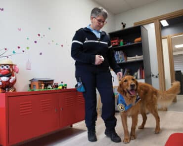 Chien d&rsquo;assistance judiciaire: Ryoma, le confident des enfants victimes