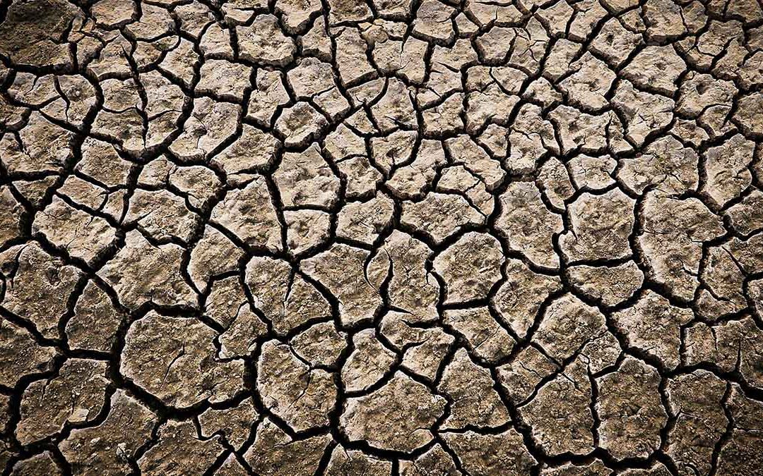 APPEL À TÉMOINS – Travailler et vivre sous la canicule