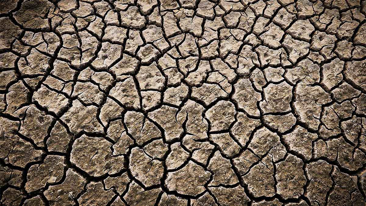 APPEL À TÉMOINS – Travailler et vivre sous la canicule APPEL À TÉMOINS – Travailler et vivre sous la canicule