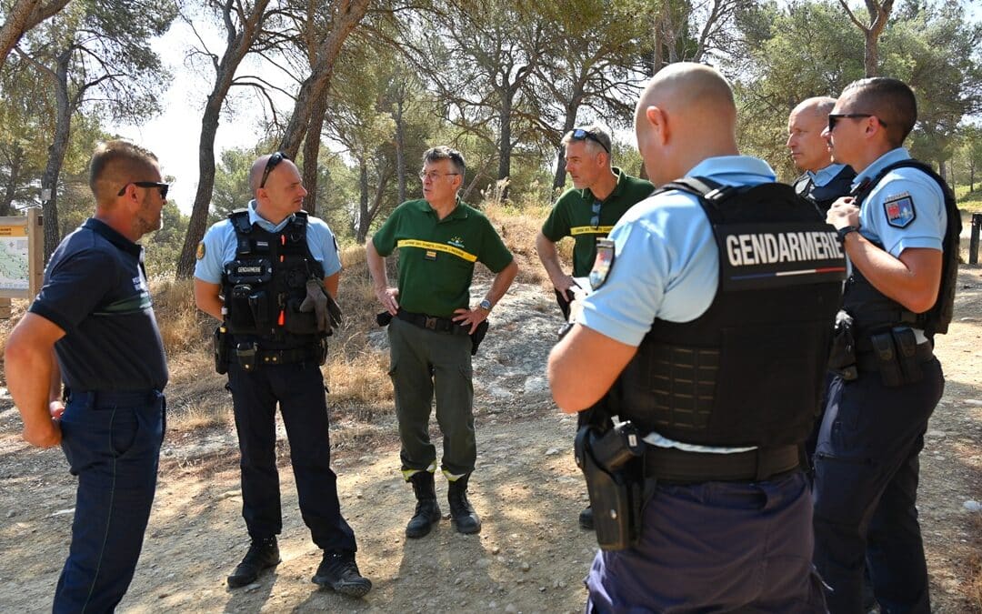 Incendies en Gironde : la place du gendarme dans la chaîne des secours